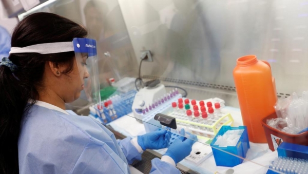 فيروس جديد شبيه بكورونا يقلق العلماء
