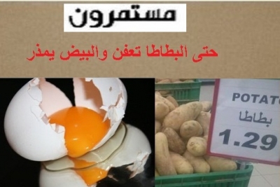 حماية المستهلك تؤكد نجاح حملة مقاطعة <البيض والبطاطا > والحملة مستمرة
