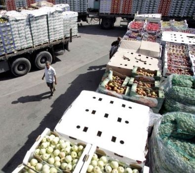 وفق ارقام حكومية ...الاردن يصدر 2500 طن خضراوات لإسرائيل خلال شهر شباط