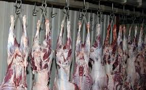 الامانة تتلف 218 طن من اللحوم خلال الربع الاول من هذا العام