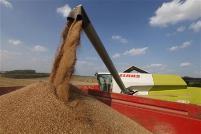 الأردن يطرح مناقصة لشراء 100 ألف طن من القمح