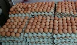 المستهلك: نجاح حملة مقاطعة مادتي البيض والبطاطا ومستمرون حتى تخفيض الاسعار