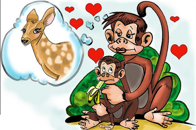ما هي قصة المثل الشعبي "القرد بعين امه غزال"