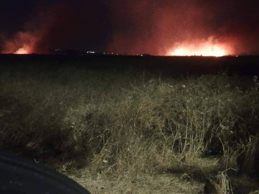 بالصور...إخماد حريق أعشاب جافة ومحاصيل زراعية في محافظة اربد