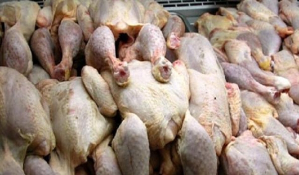 قضية الدجاج الفاسد تؤجل للخميس القادم بسبب غياب احد الاظناء