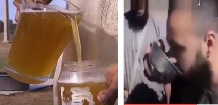 فيديو صادم.. أجانب يشربون بول الإبل في السعودية..شاهد ماذا حدث لهم؟!