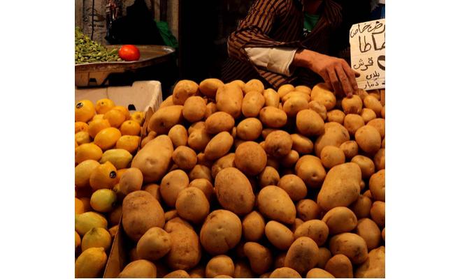 الزراعة" تشكل لجنة لإعادة فحص البطاطا اللبنانية