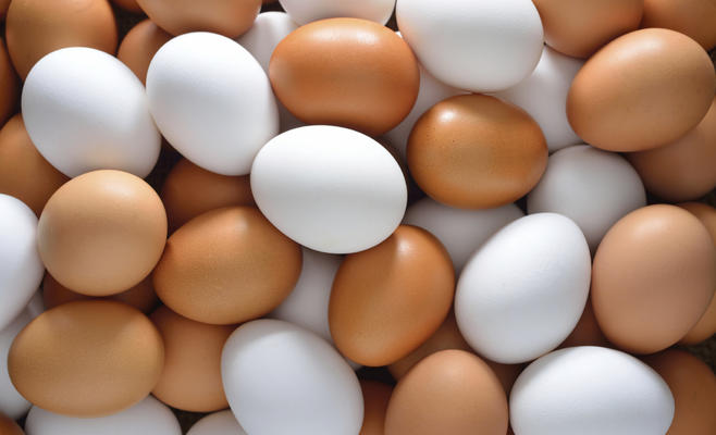 إعفاء بيض المائدة من ضريبة المبيعات
