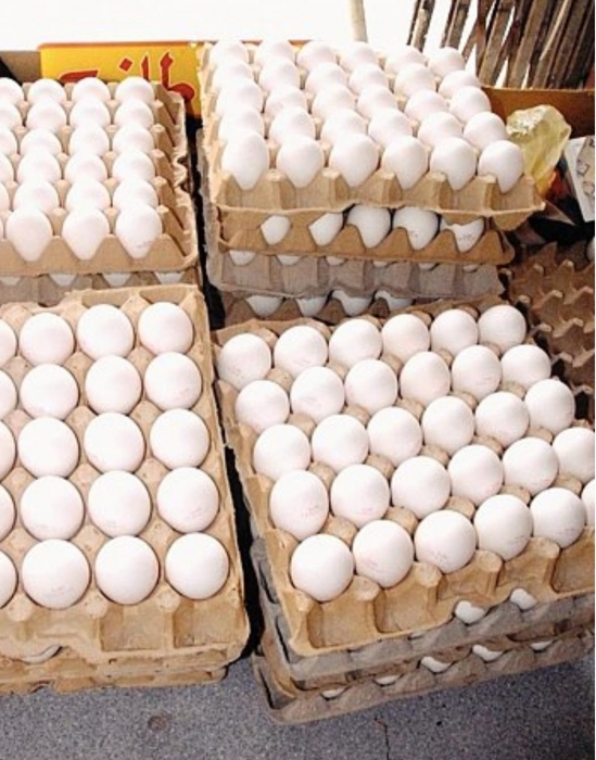 إربد ... ضبط أكثر من 2000 كرتونة بيض فاسد كانت بطريقها للبيع