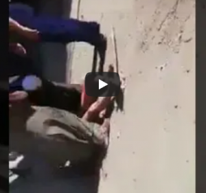بالفيديو .. لحظة مقتل 3 مصريين بسبب ”رش المياه“ أمام منزلهم