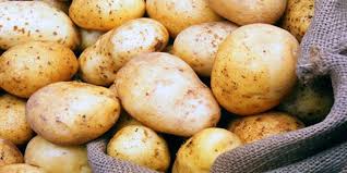"الزراعة" ترفع الحظر عن استيراد البطاطا المصرية