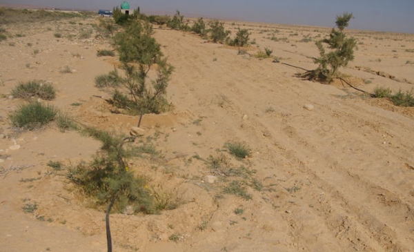 الجفاف سيأكل 25% من مساحة الأردن