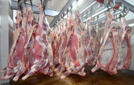 ارتفاع الذبحيات وانخفاض أسعار اللحوم والدواجن