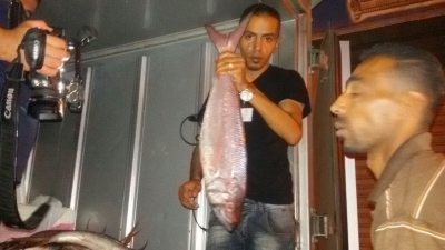 ضبط تريلا تحمل سمك فاسد لأحد اشهر مطاعم إربد (صور)