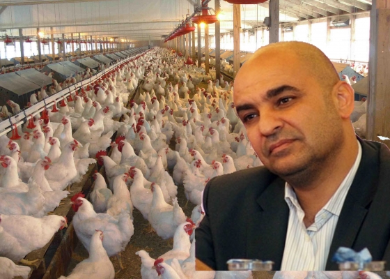 لماذا دافع طارق خوري عن حيتان الدجاج المجمد ولم يدافع عن مزارع الدجاج الوطنية