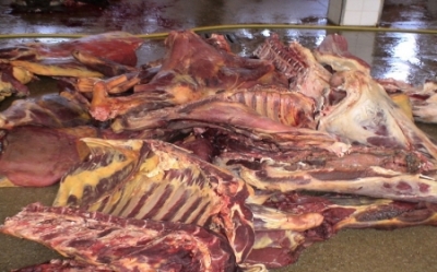 اتلاف ( 1115 ) طنا من اللحوم غير الصالحة للاستهلاك البشري في عمان 