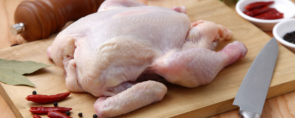 توقع استقرار أسعار الدجاج في رمضان