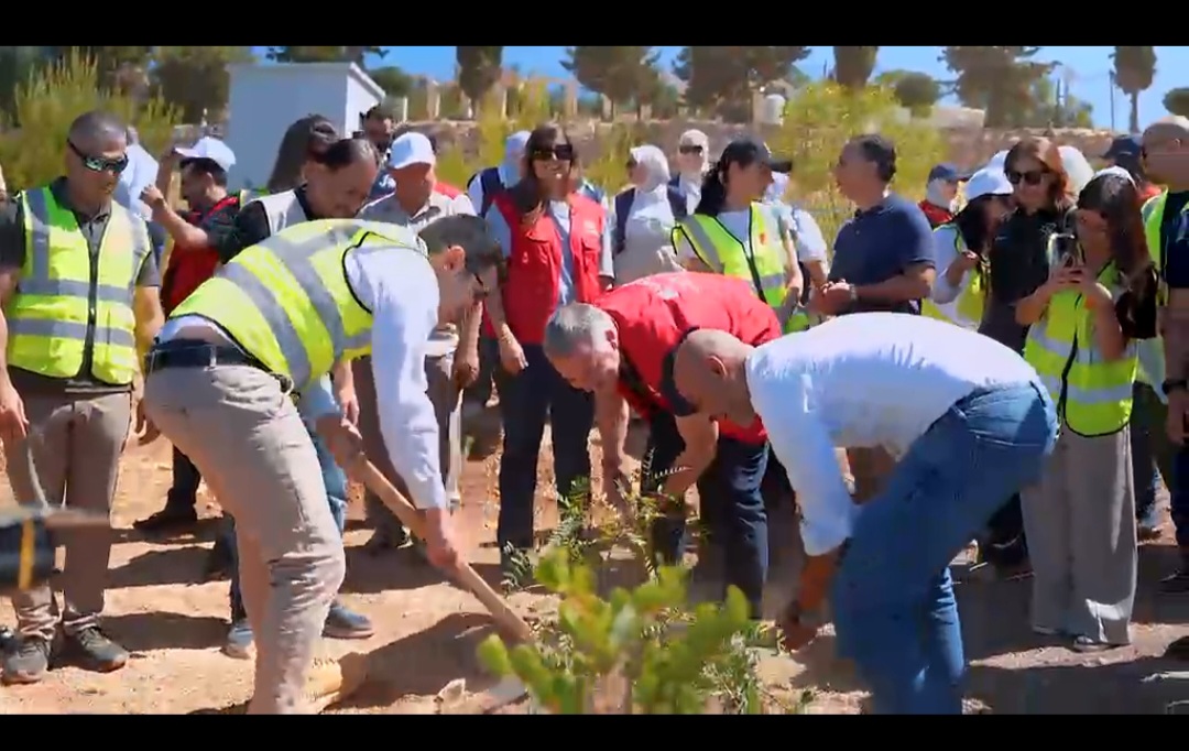 فيديو - احتفاءً باليوم العالمي للحفاظ على الطبيعة.. شركات الاتصالات تواصل جهودها بمبادرة مشتركة لتعزيز الاستدامة البيئية